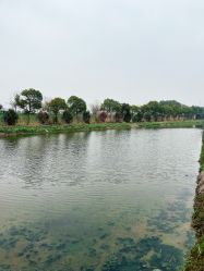 -水八仙生态园