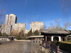 -团结湖公园