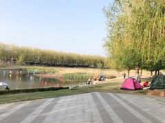 -羊亭河湿地公园