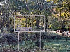 -WeLope紫金山探险公园