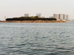 -北龙湖湿地公园