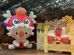 -杭州开元森泊度假乐园