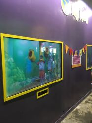 点击看大图 -恐龙探索乐园(磁器口店)