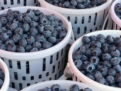 -南坛综合农贸市场