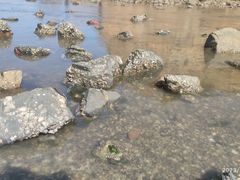 -锦州笔架山风景区