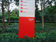 -大望京公园