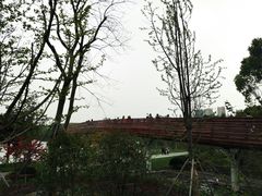 -昆山城市生态森林公园