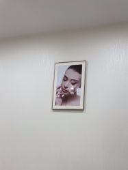 -智美品质医美