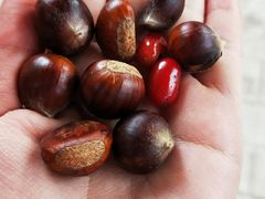 -幸福荣耀超市(学院路店)