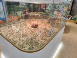 -小象动悟公园(龙湖亦庄天街店)