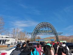 -大青山野生动物园