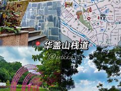 -顺峰山公园