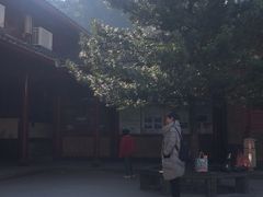 -普陀山慧济禅寺