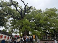 -新安江山水画廊风景区