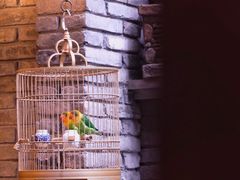 -鱼桥巷·美学川菜