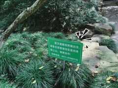 -杭州植物园