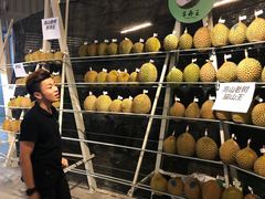 -都念榴莲·城市榴莲