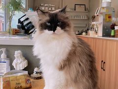 -灯塔咖啡馆BOOK·Coffee Shop