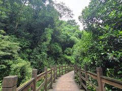 -凤栖山