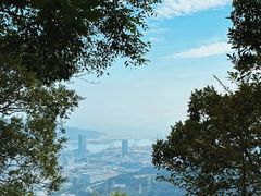 -梧桐山风景名胜区