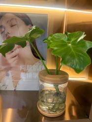 -佳妍惠美科技美肤美体中心