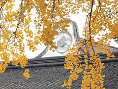 -西园戒幢律寺