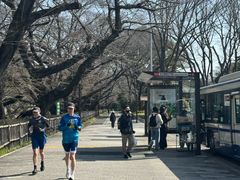 -名古屋城