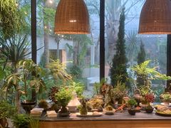 -自由生长植物工作室(深港花卉中心店)