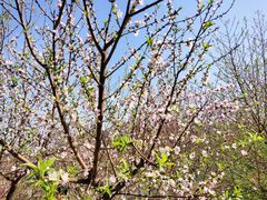 -水濂山森林公园