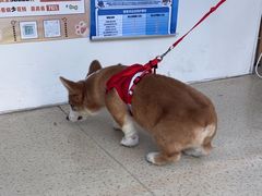 -萌兽医馆·宠物医院·猫骨科(创景店)