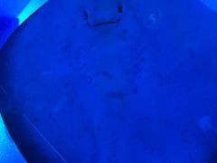 -珠海长隆海洋王国