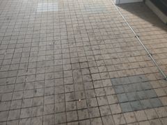 -兰州马子禄牛肉面(文景公园店)