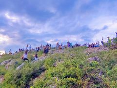 -长虫山生态公园风景林