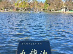 -翠湖公园