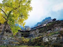-芦芽山旅游度假区