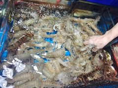 -船奇蒸汽海鲜·闽菜(八市海鲜总店)