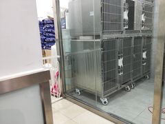 -宠福鑫康馨动物医院·骨科·眼科