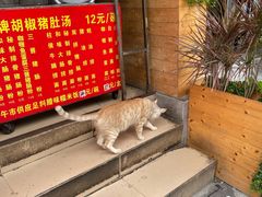 -胡椒猪肚汤(康王店)