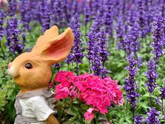 -人民公园(罗湖区)