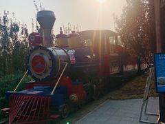 -永定河休闲森林公园