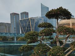 -城市阳台