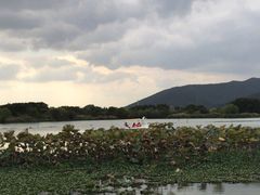 -长田漾湿地公园