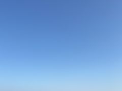 -瑰丽酒店·海吧·天际下午茶·现场DJ·天台酒吧