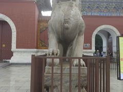 -北陵公园