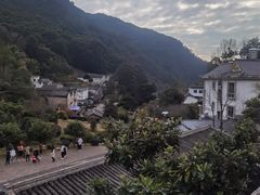 -雁南飞茶田景区