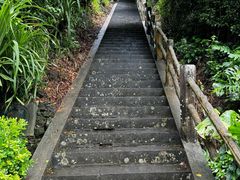 -海口火山口国家地质公园
