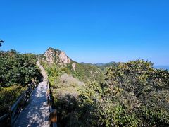 -大岭沟猕猴桃谷风景区
