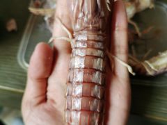 -宾朋海鲜美食餐厅·特色美食(兴海路店)