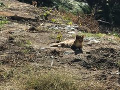 -苏州河梦清园环保主题公园