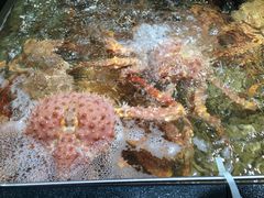 -盒马鲜生(曜一城店)
